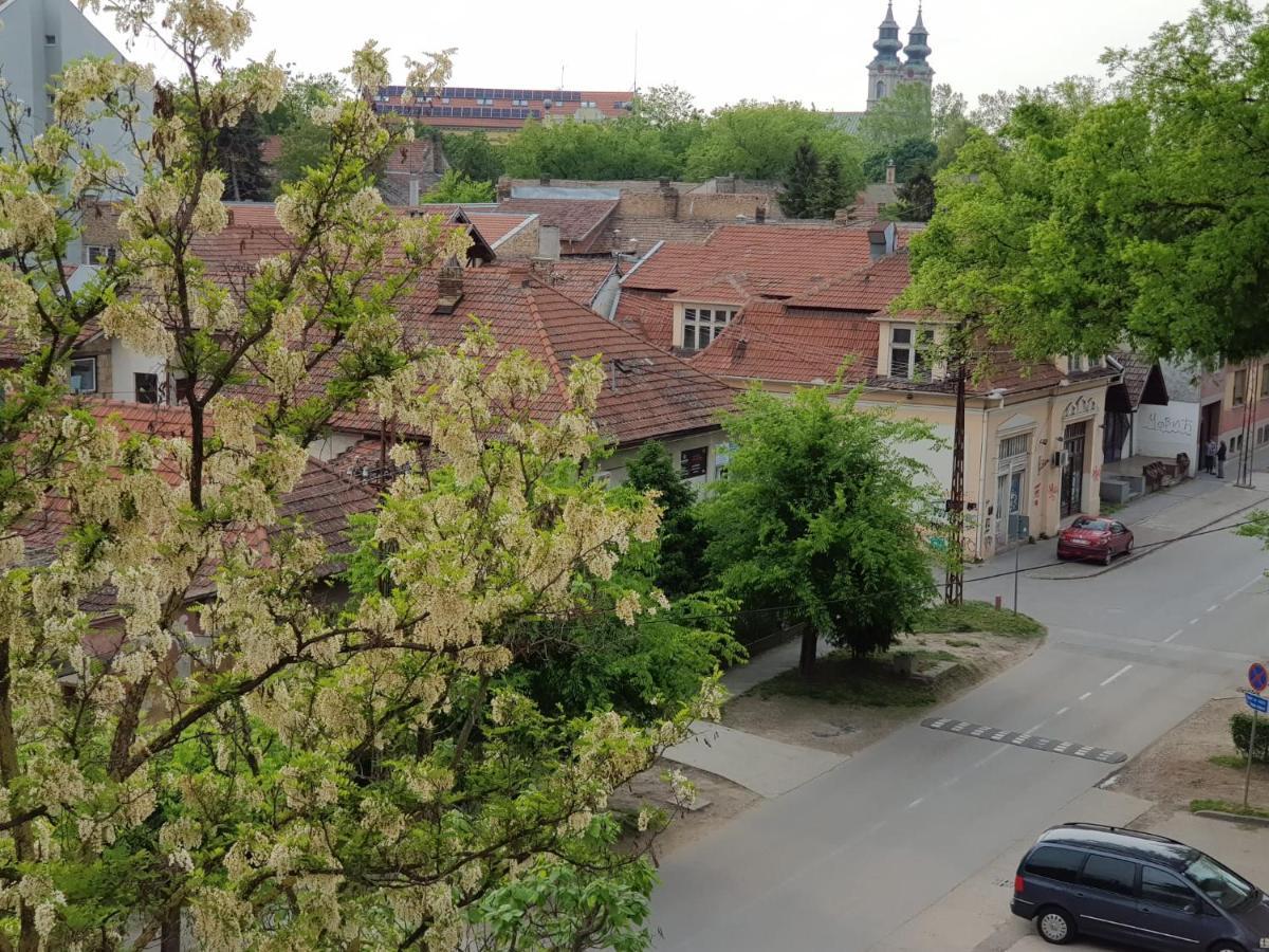 Aurora Subotica