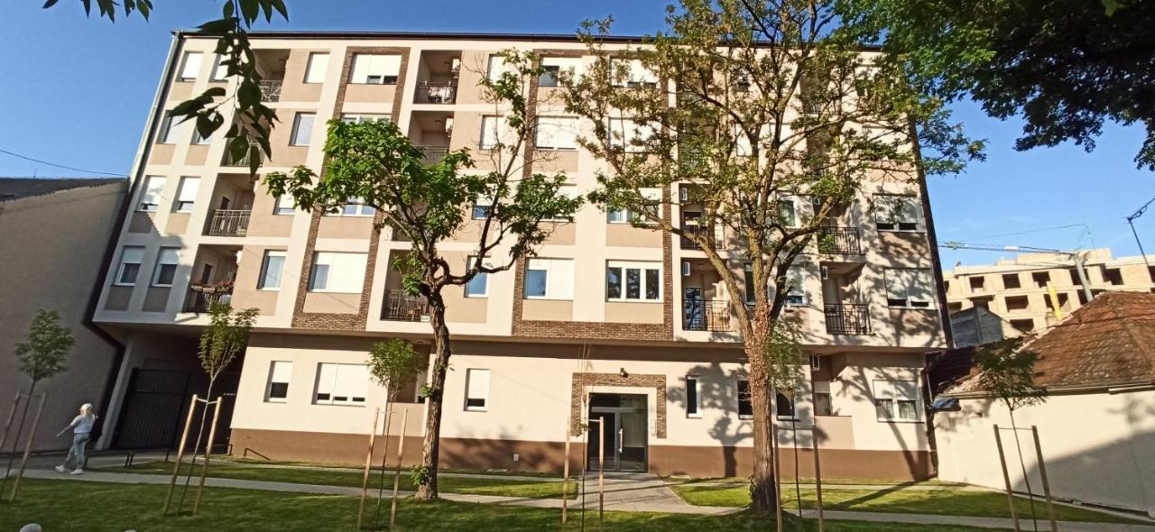 Aurora Apartment *